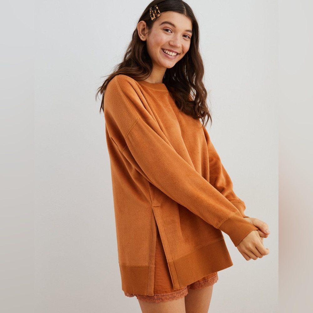 Aerie Coziest Crew Sweatshirt